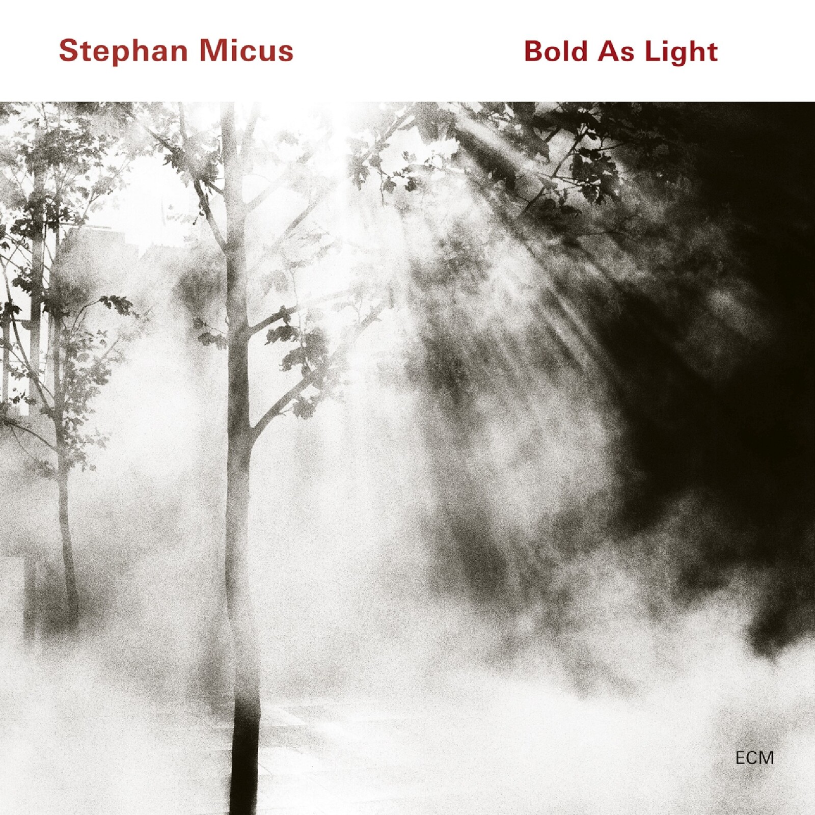Picture of Stephan Micus - Bold as Light