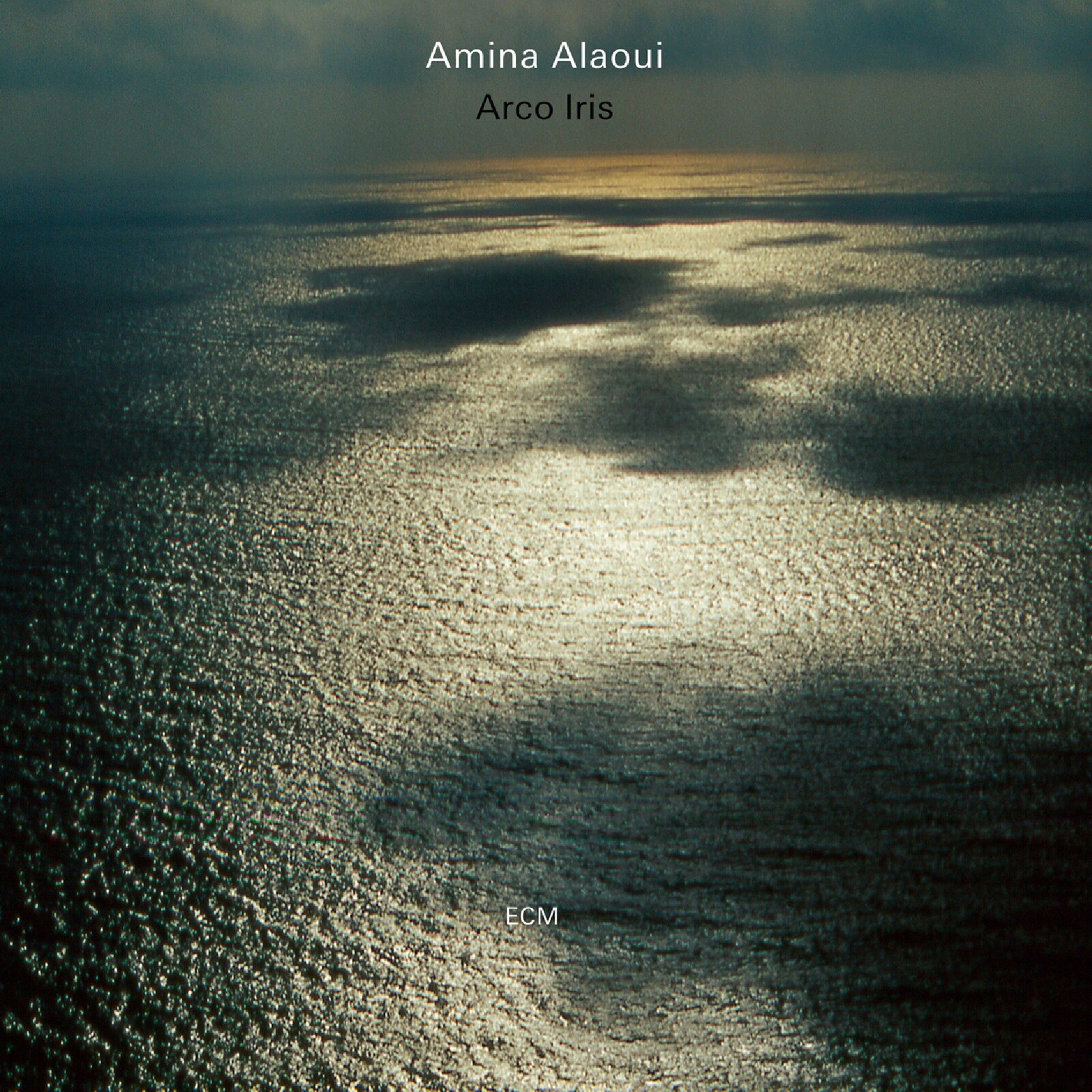 Picture of Amina Alaoui - Arco Iris