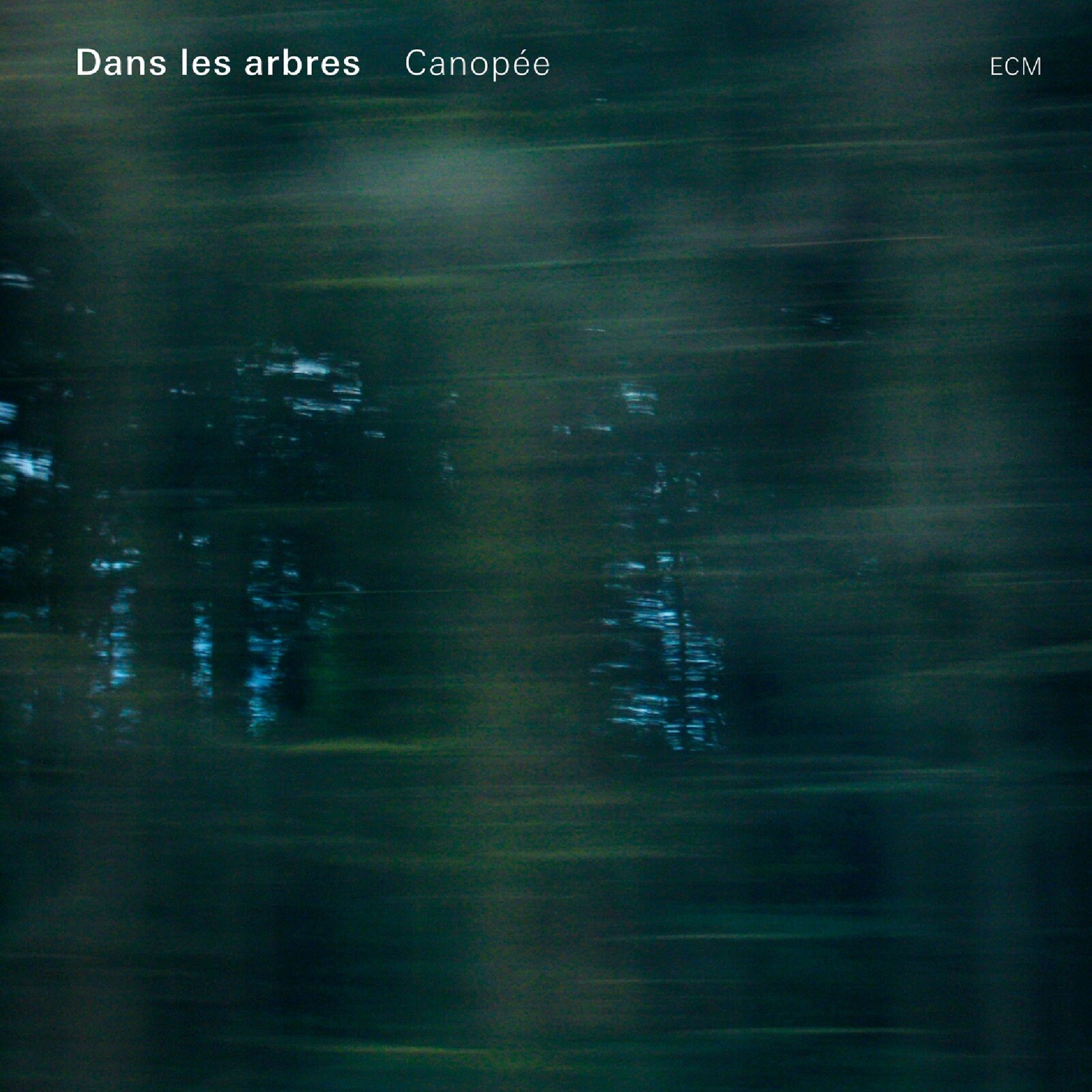 Picture of Dans les arbres - Canop�e