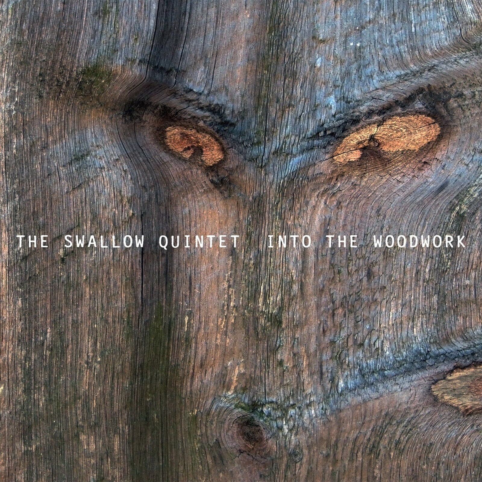 Picture of Steve Swallow Quintet - Into The Woodwork