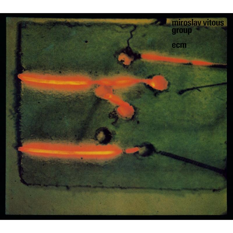 Picture of Miroslav Vitous Group - Miroslav Vitous Group