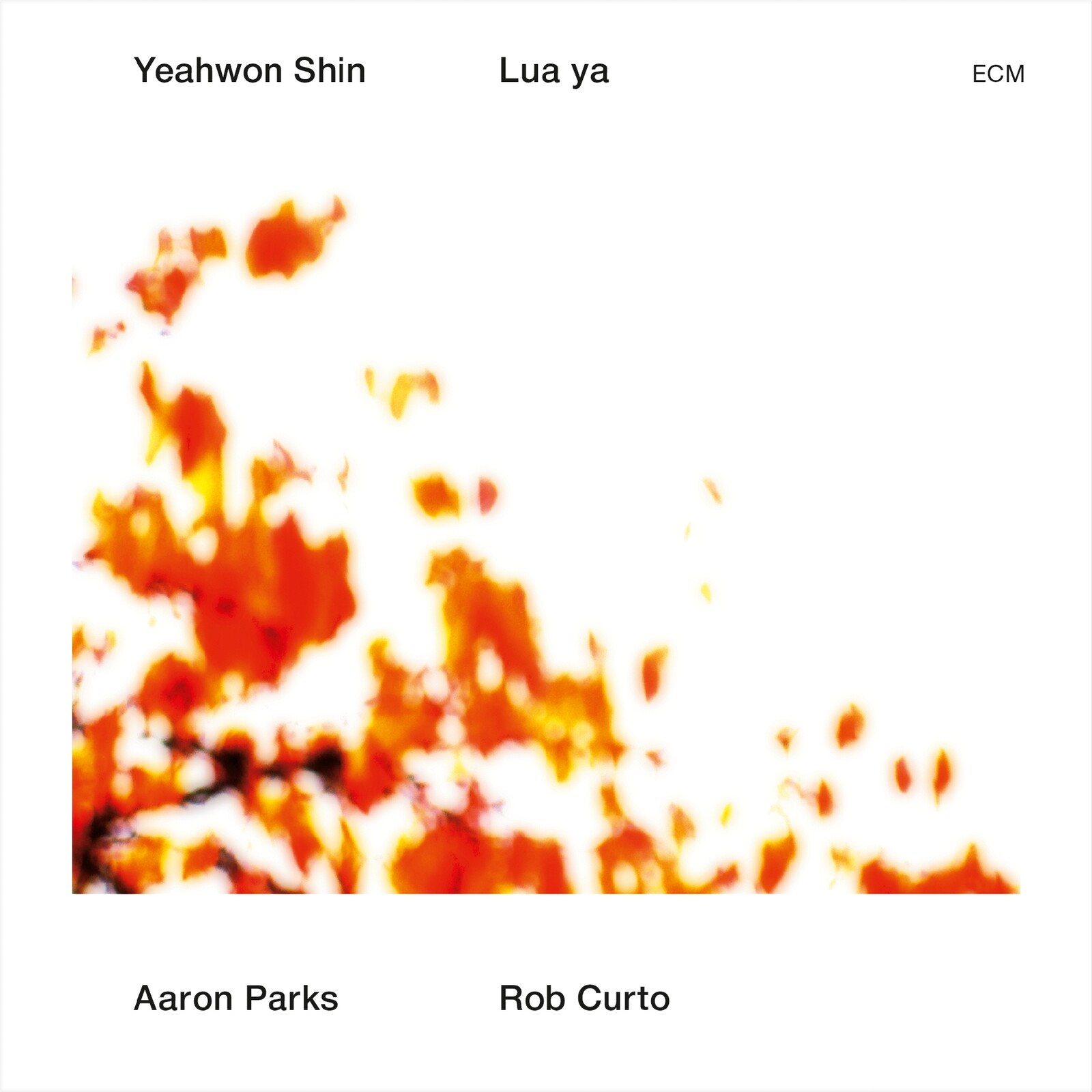 Picture of Yeahwon Shin, Aaron Parks & Rob Curto - Lua Ya