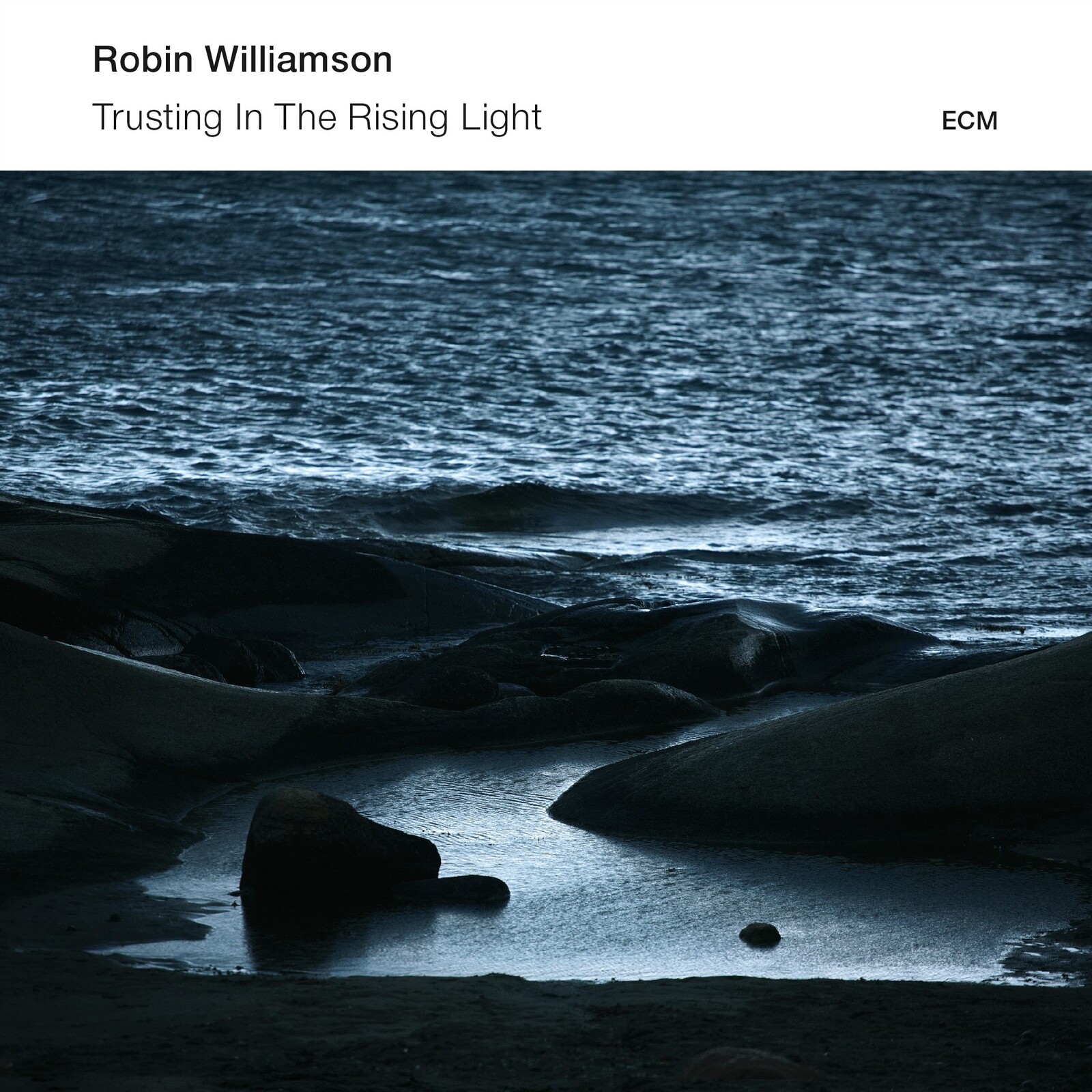 Picture of Robin Williamson - Trusting in the Rising Light