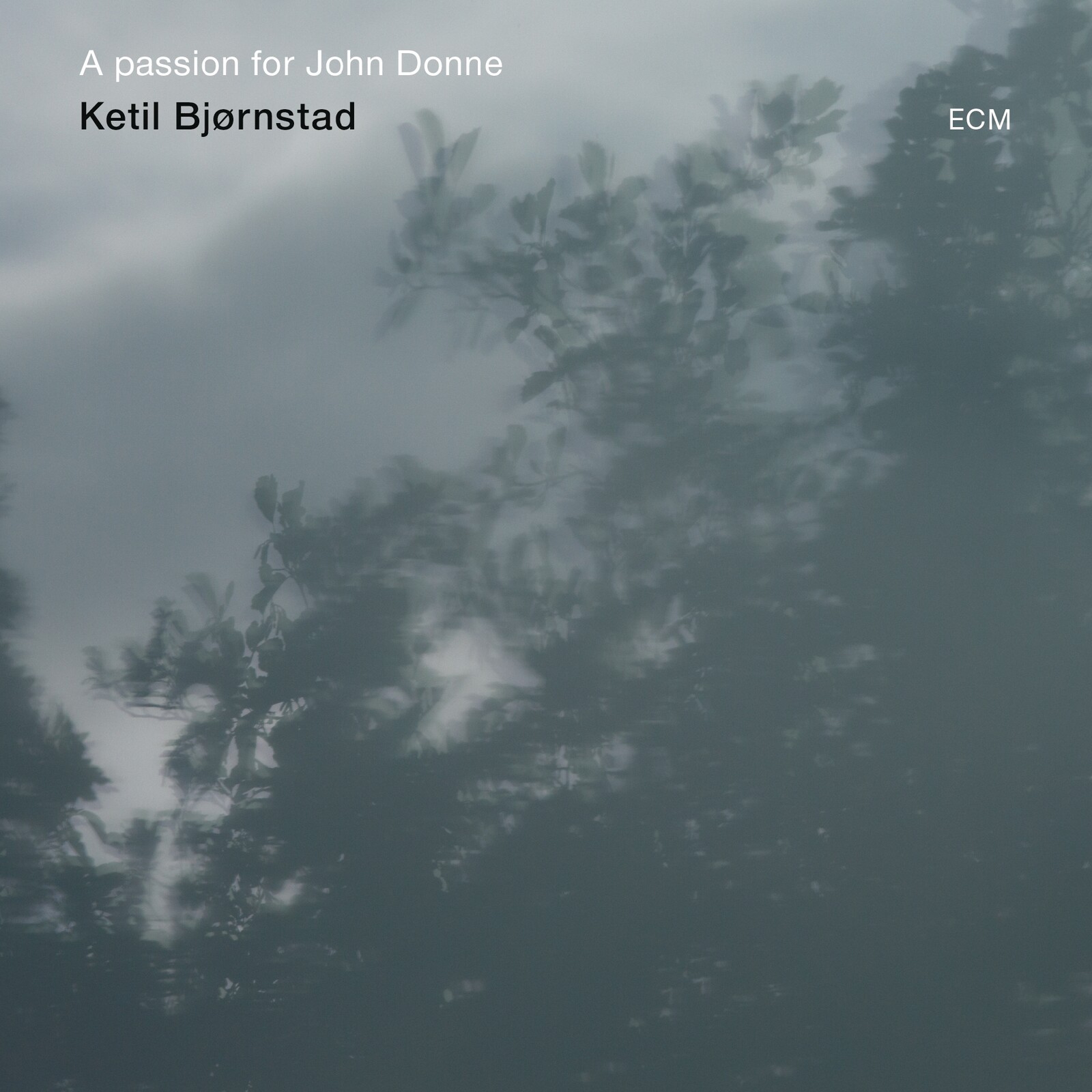 Picture of Ketil Bjornstad - A Passion for John Donne