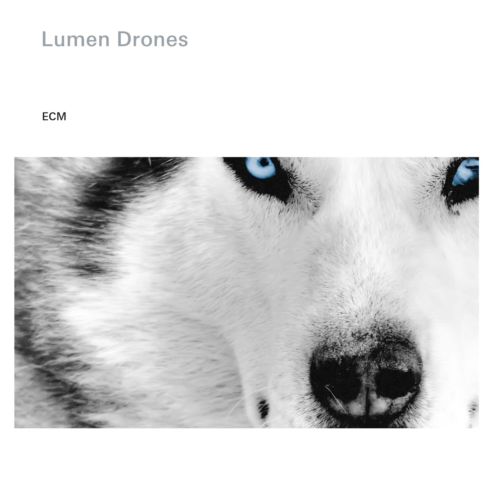 Picture of Lumen Drones - Lumen Drones