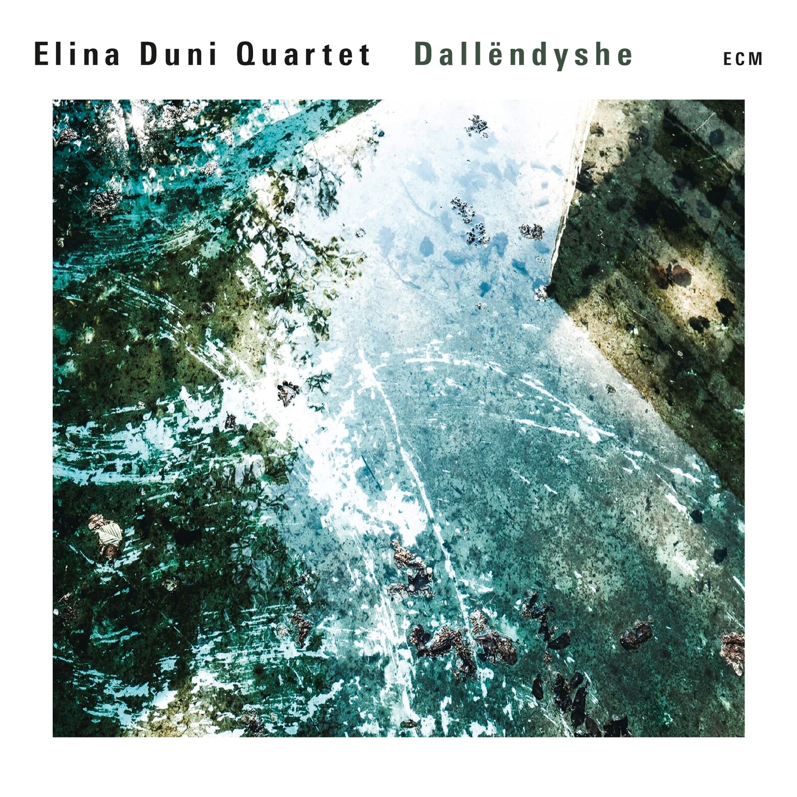Picture of Elina Duni Quartet - Dallendyshe