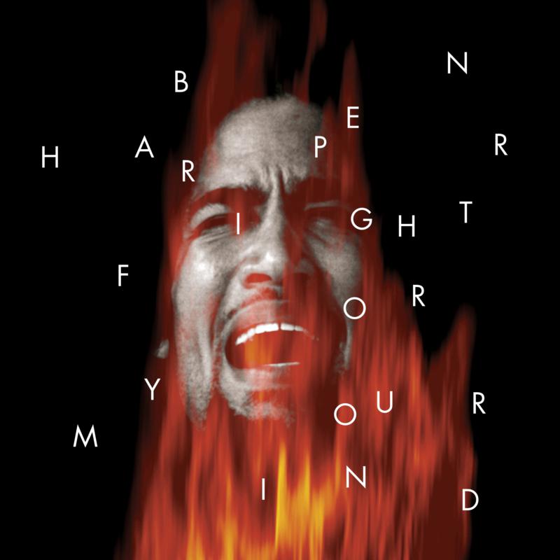 Picture of Ben Harper - Fight For.