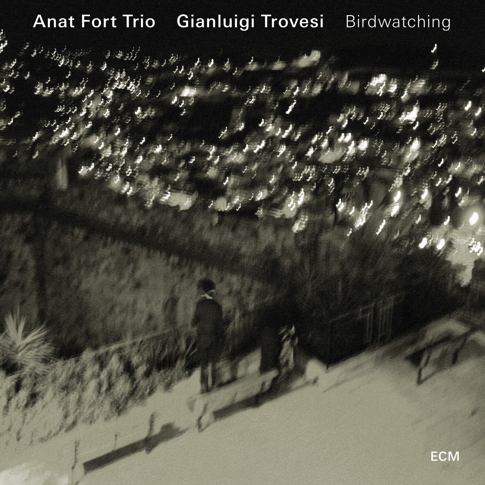 Picture of Anat Fort Trio - Birdwatching