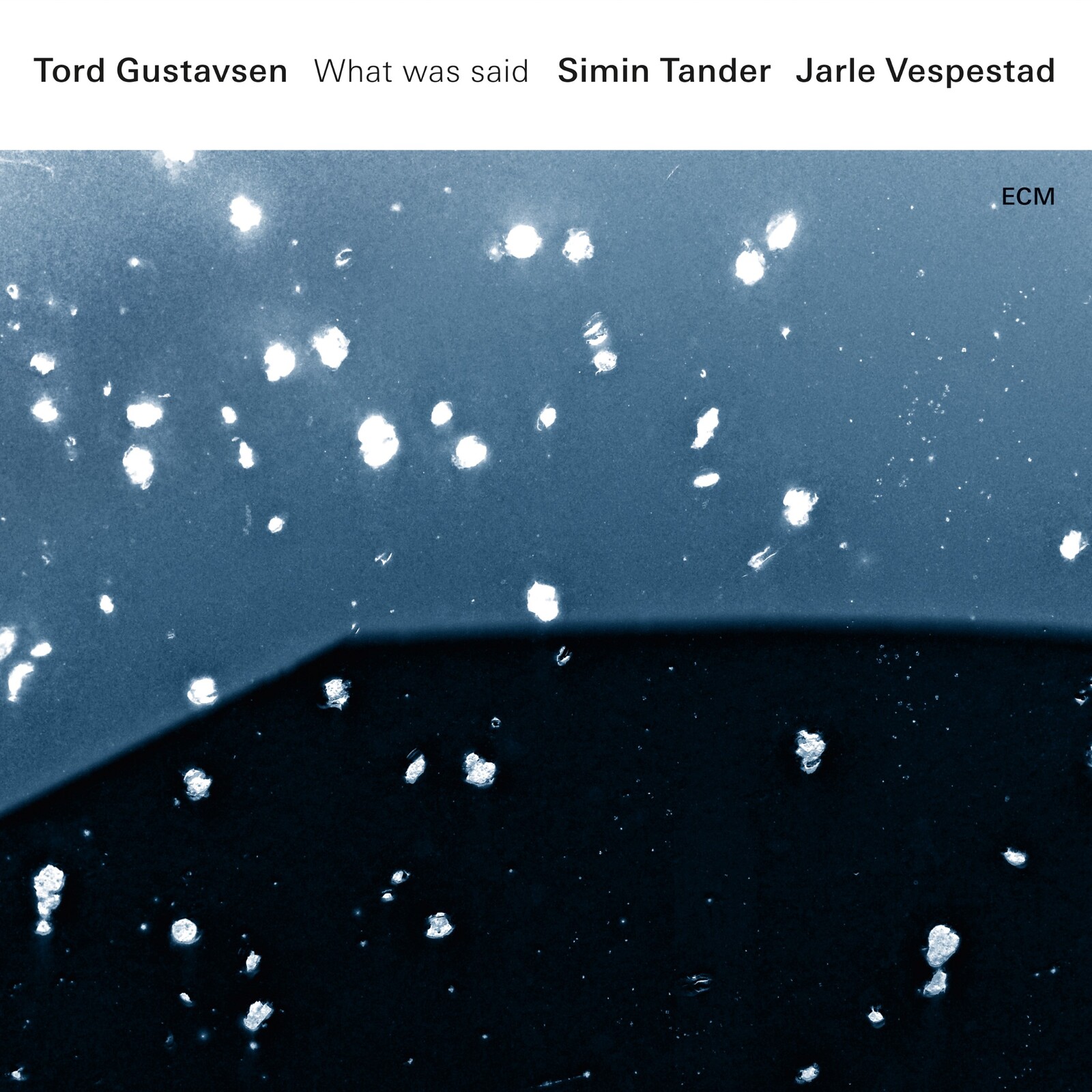 Picture of Tord Gustavsen, Simin Tander, Jarle Vespestad - What Was Said