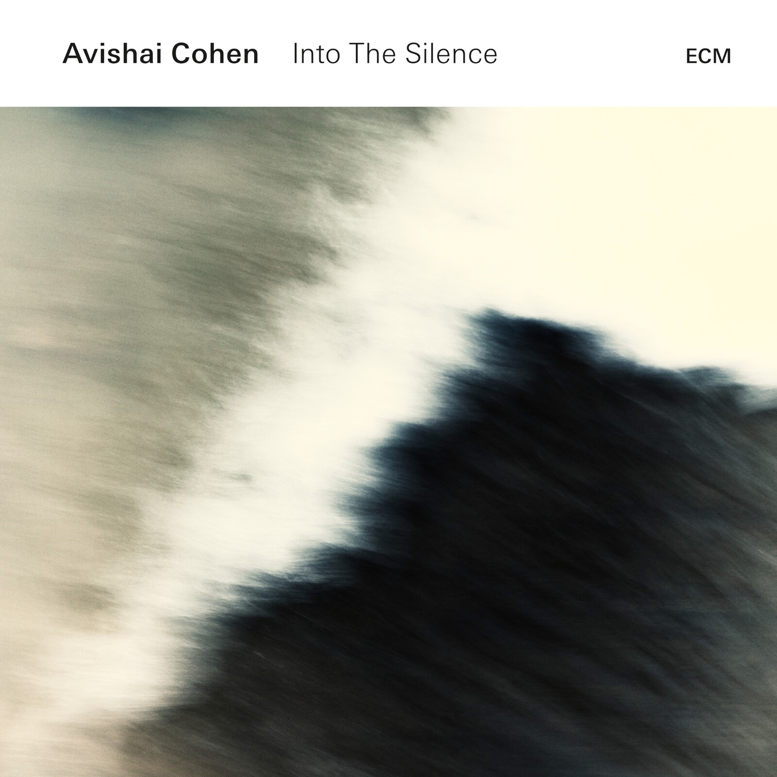 Picture of Avishai Cohen - Into The Silence