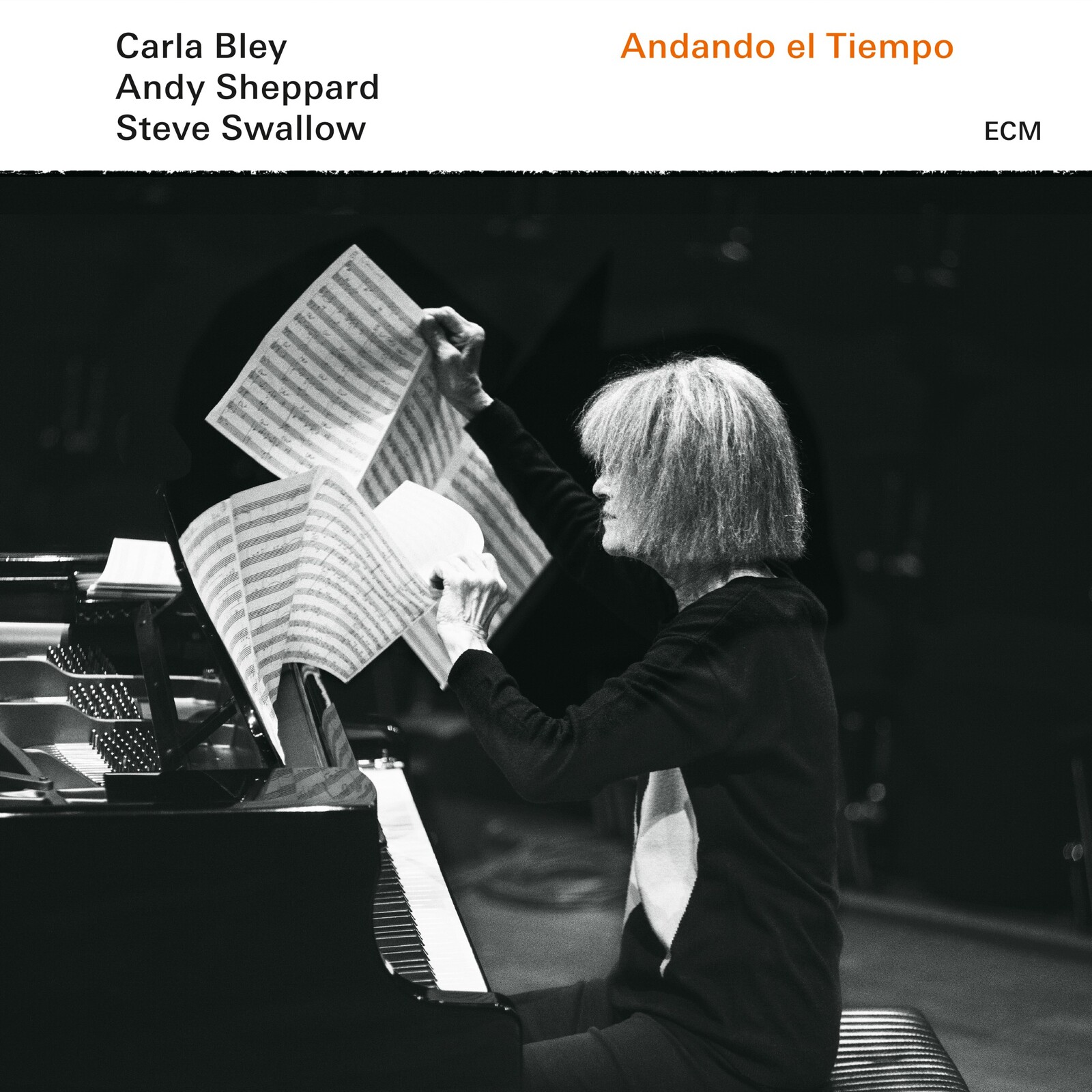 Picture of Carla Bley, Andy Sheppard & Steve Swallow - Andando El Tiempo