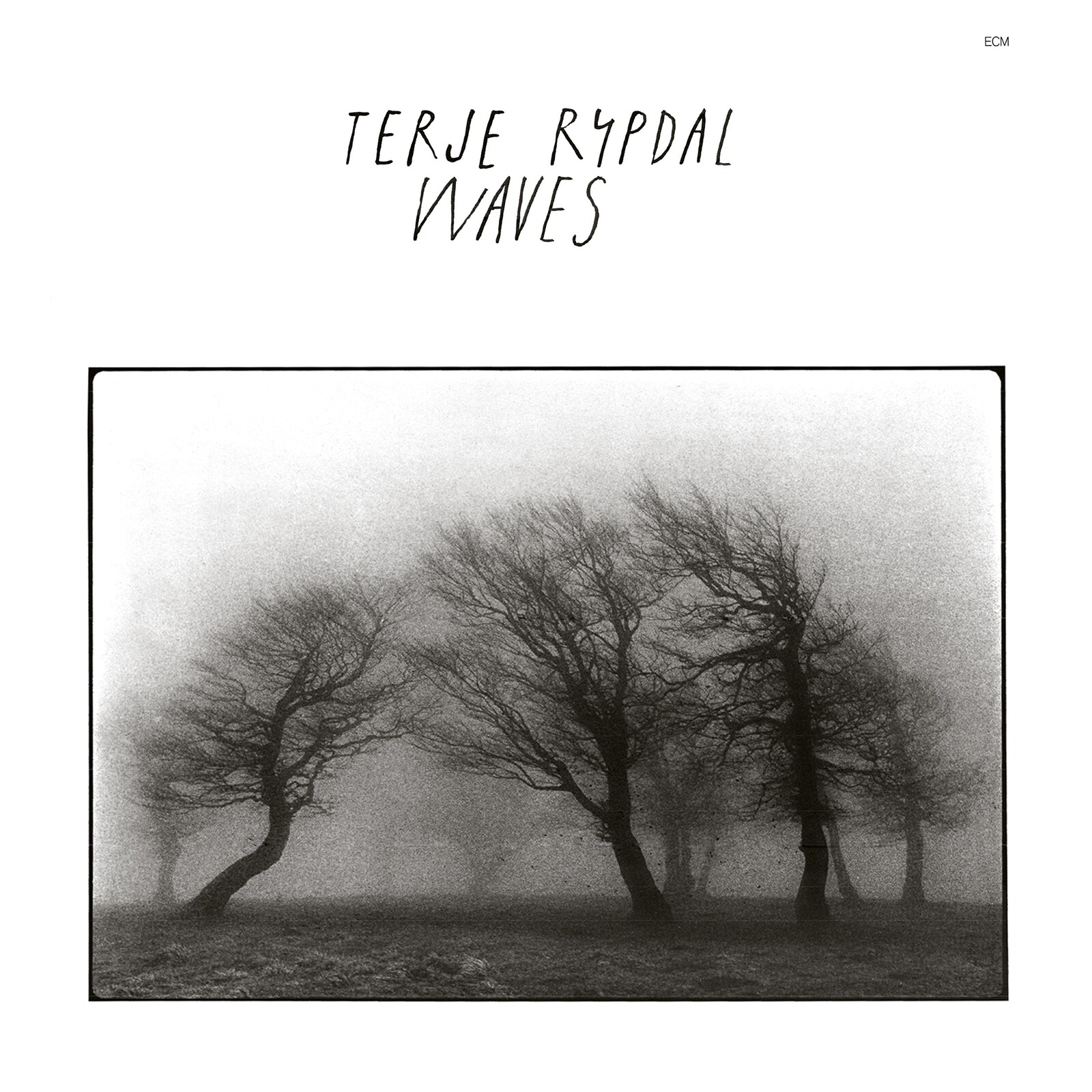 Picture of Terje Rypdal - Waves
