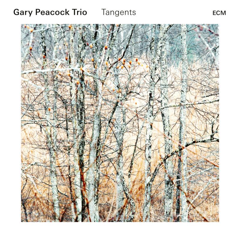 Picture of Gary Peacock Trio - Tangents