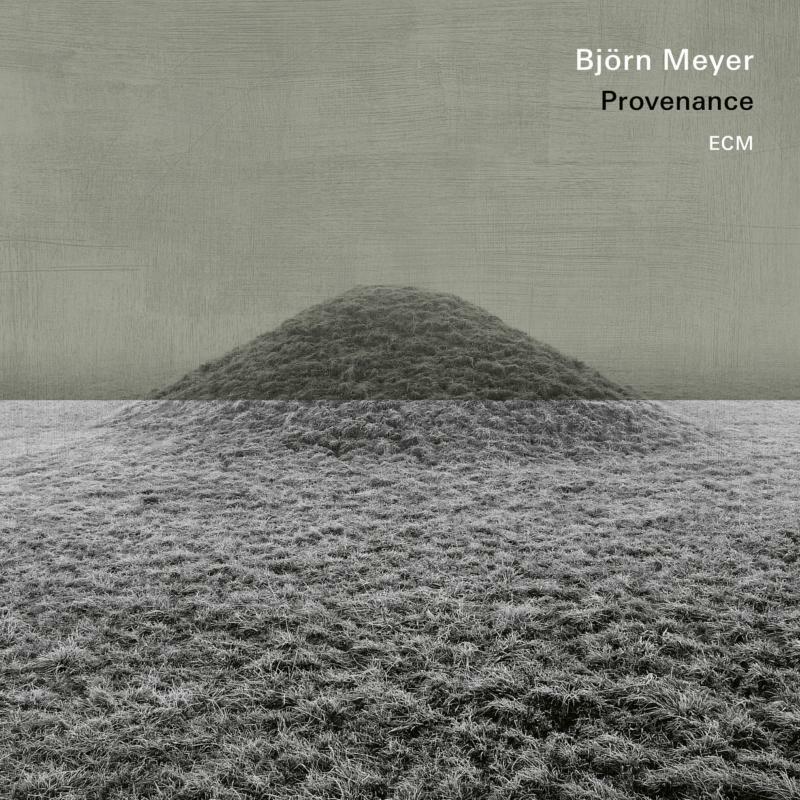Picture of Bjorn Meyer - Provenance
