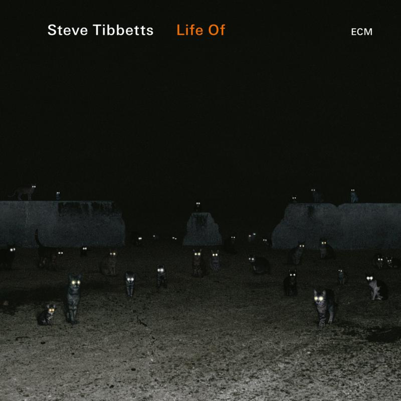 Picture of Steve Tibbetts - Life Of
