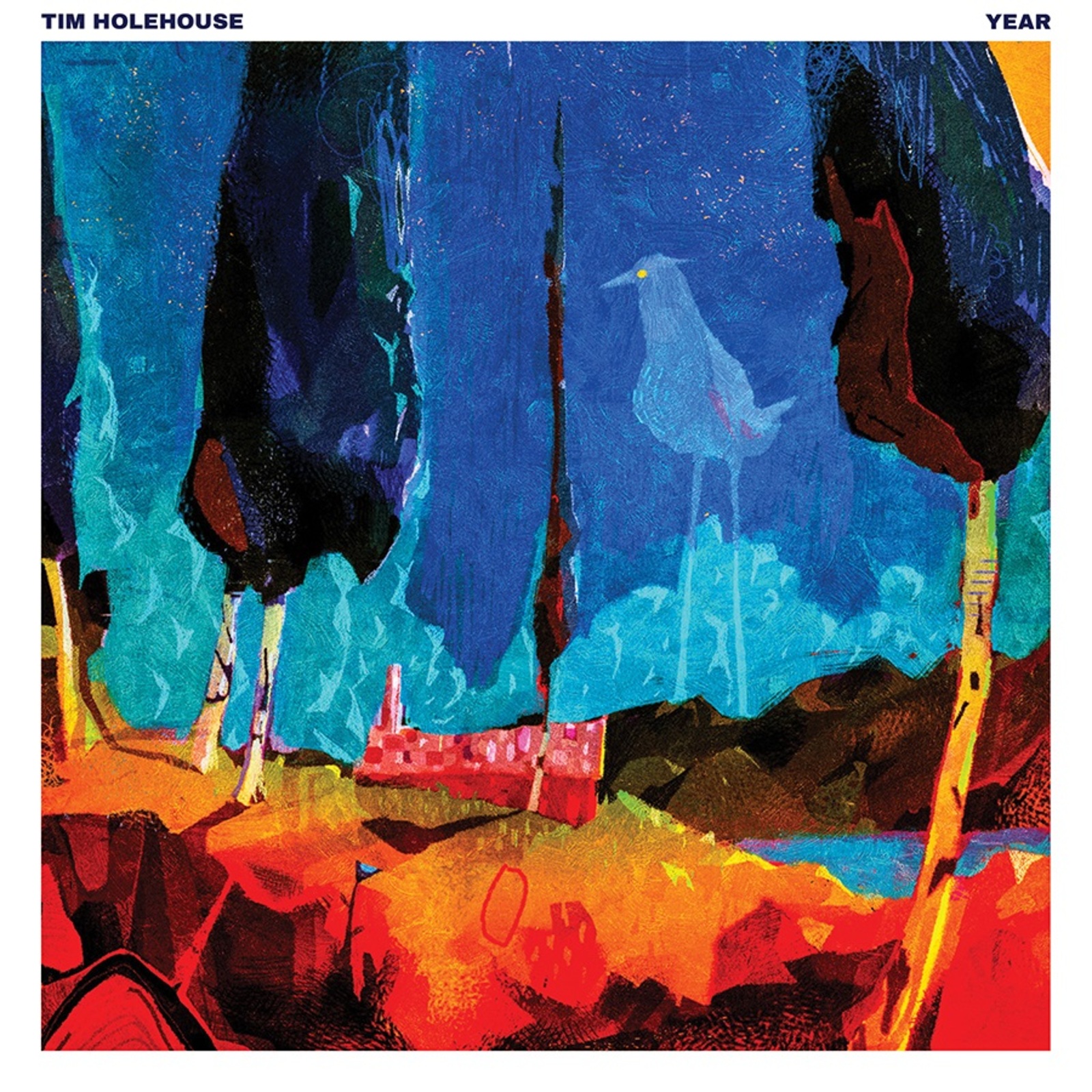 Picture of Tim Holehouse - Year