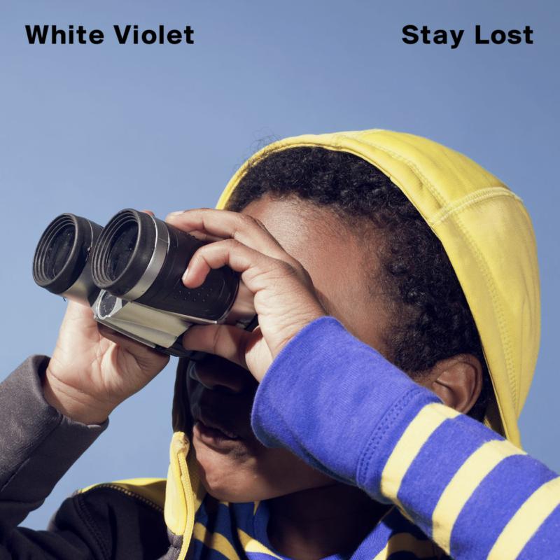 Picture of White Violet - Stay Lost