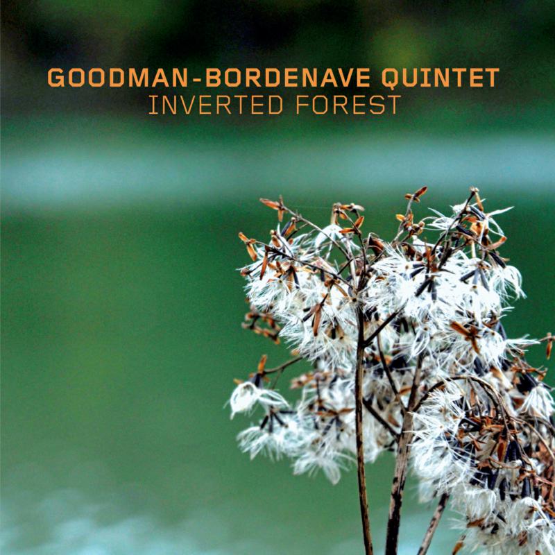 Picture of Goodman-Bordenave Quintet - Inverted Forest