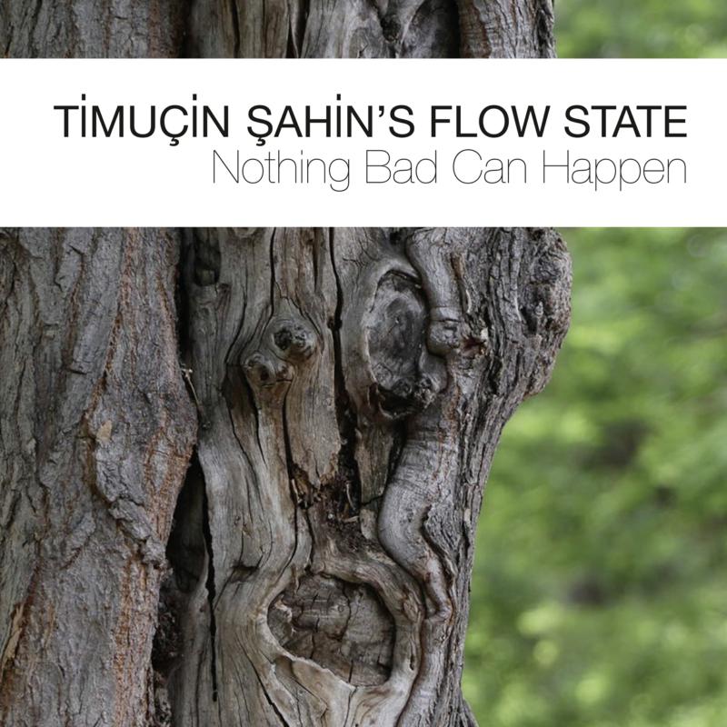 Picture of Timucin Sahin's Flow State - Nothing Bad Can Happen