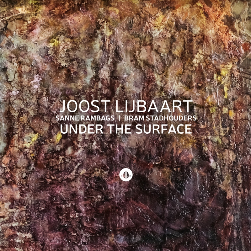 Picture of Joost Lijbaart, Sanne Rambags & Bram Stadhouders - Under The Surface