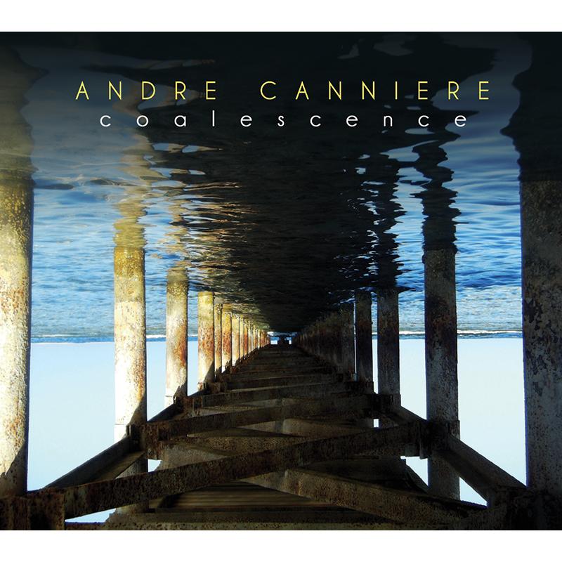 Picture of Andre Canniere - Coalescence