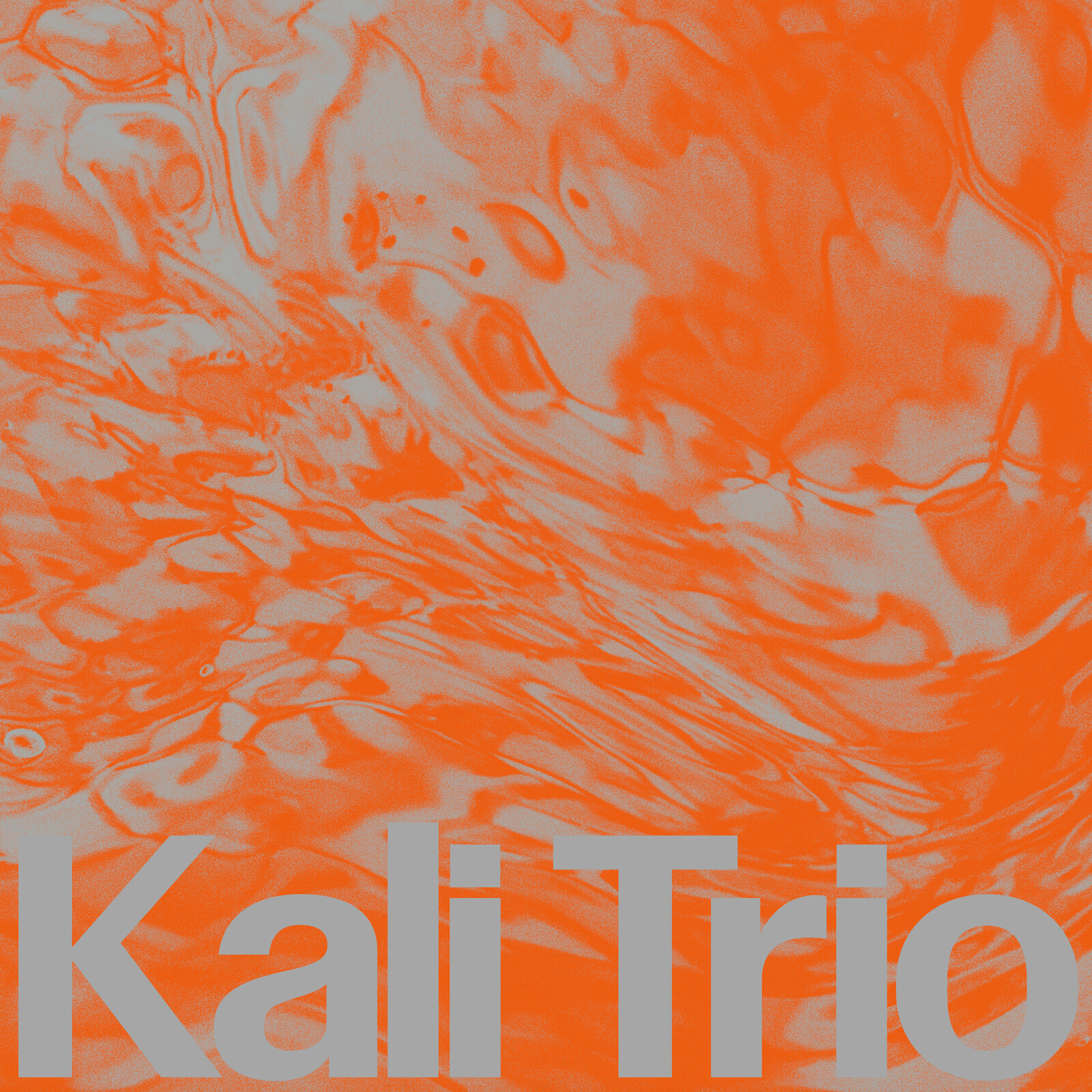Picture of KALI Trio - The Playful Abstract