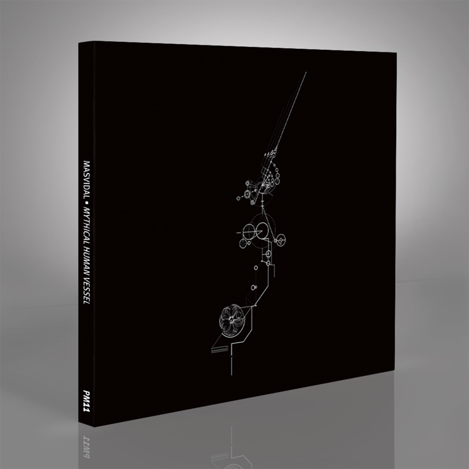 Picture of Paul Masvidal - Mythical Human Vessel