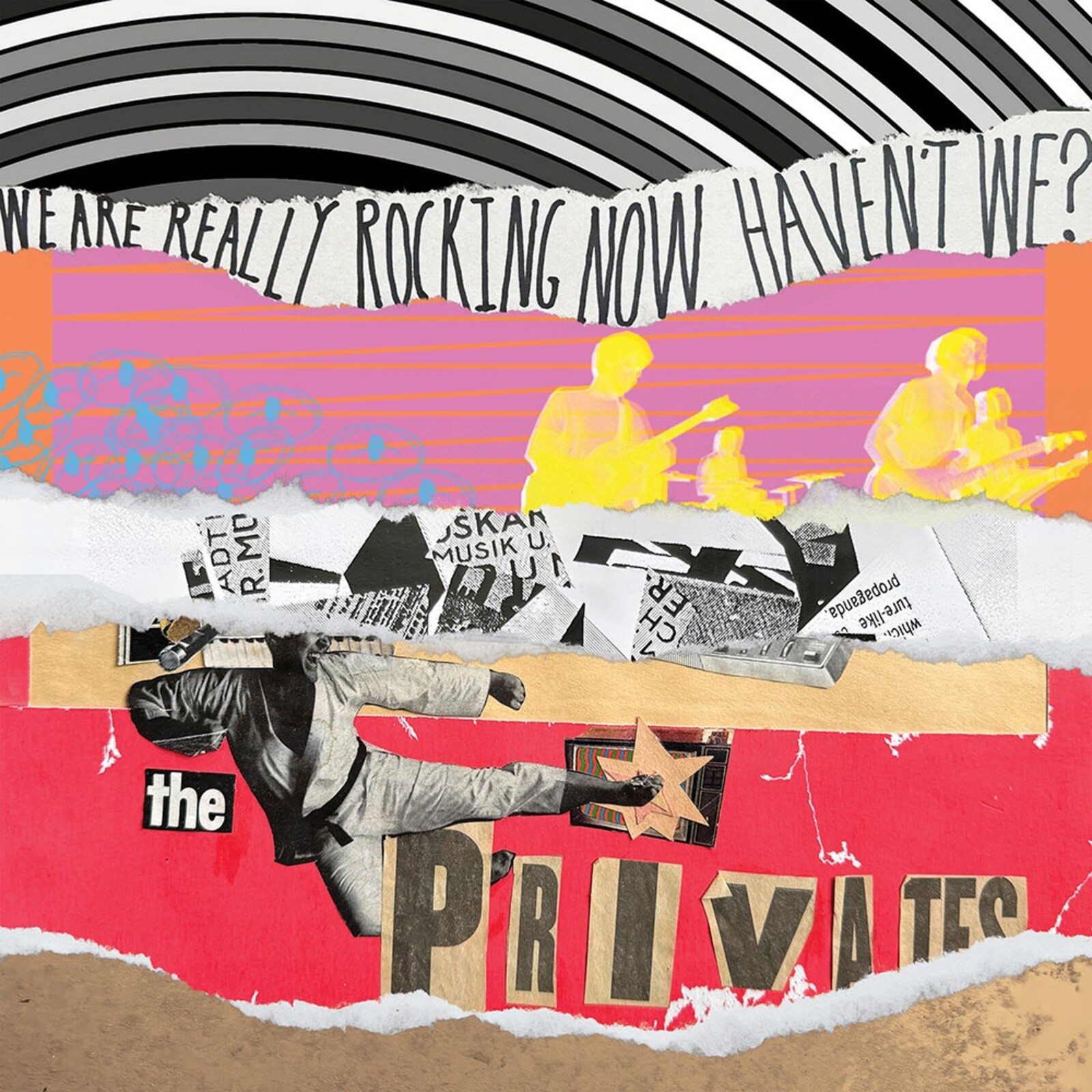 Picture of The Privates - We Are Really Rocking Now, Haven't We?