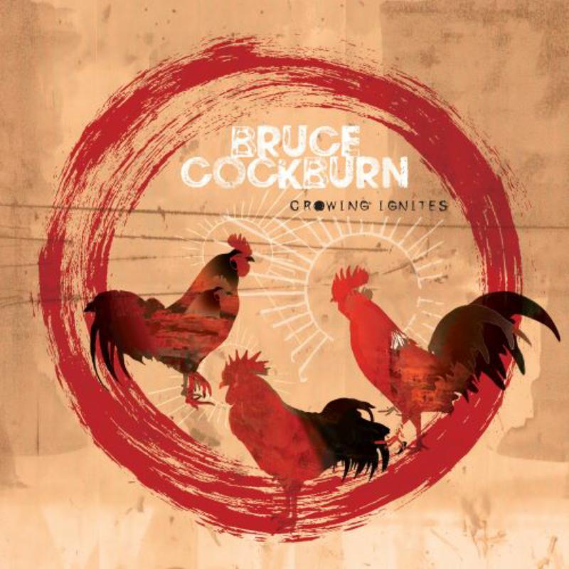 Picture of Bruce Cockburn - Crowing Ignites