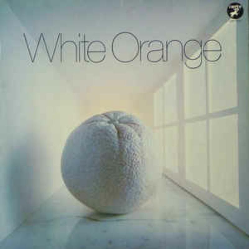 Picture of White Orange - White Orange