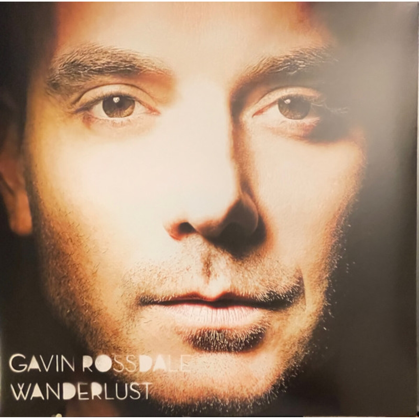 Picture of Gavin Rossdale - Wanderlust