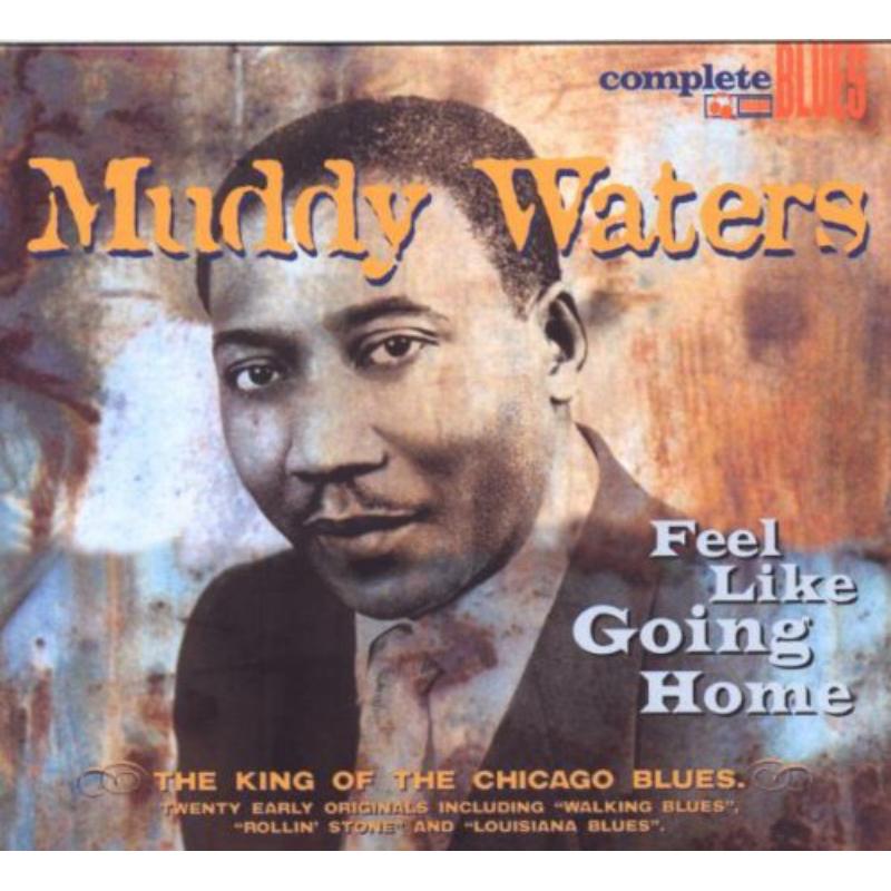 Picture of Muddy Waters - Feel Like Going Home