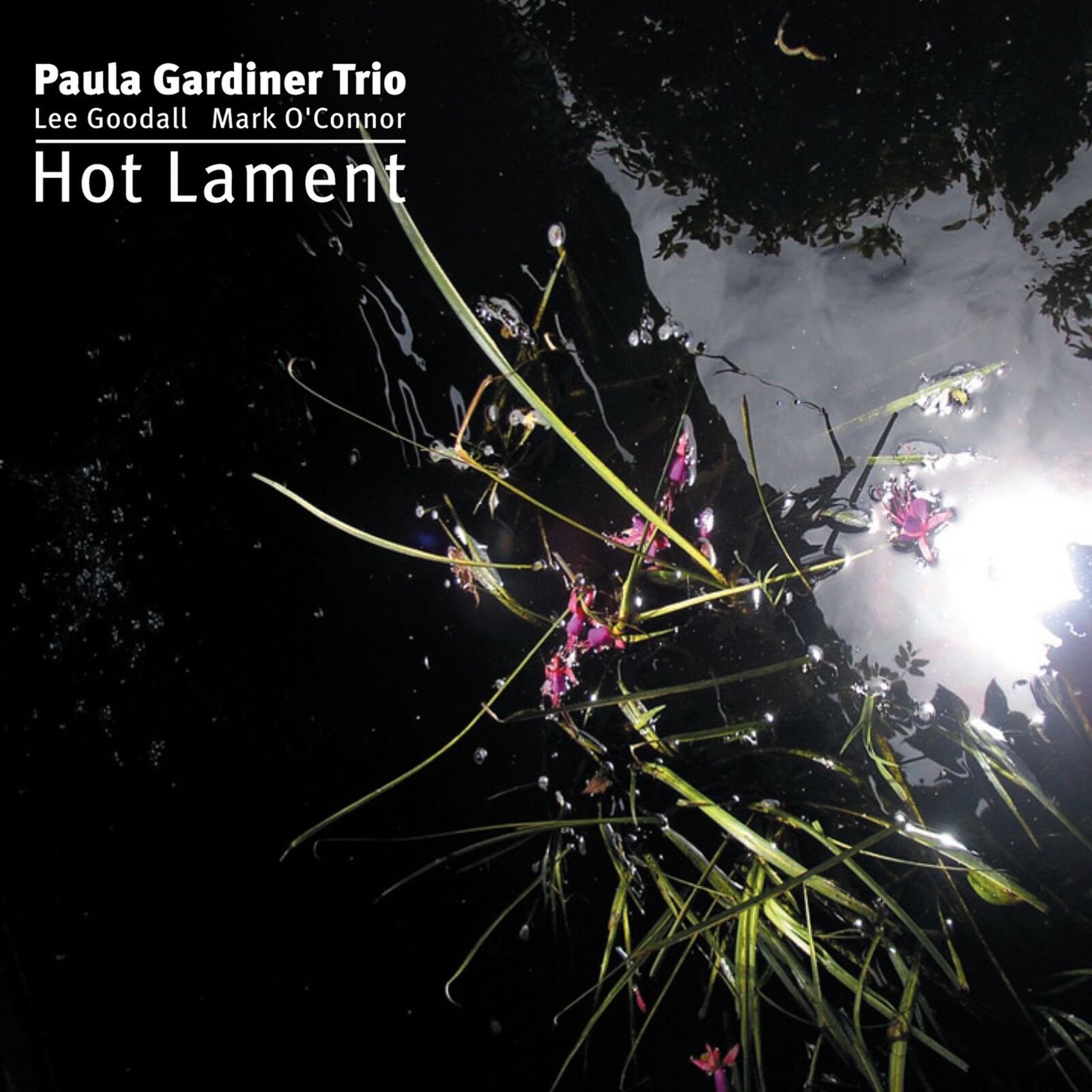 Picture of Paula Gardiner Trio, Lee Goodall & Mark O'Connor - Hot Lament
