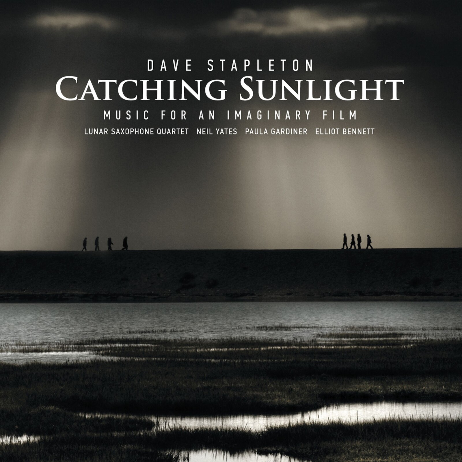 Picture of Dave Stapleton - Catching Sunlight
