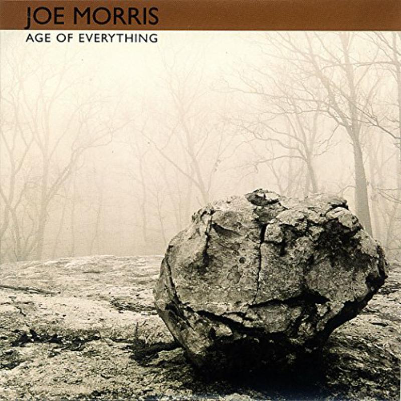 Picture of Joe Morris Trio - Age Of Everything