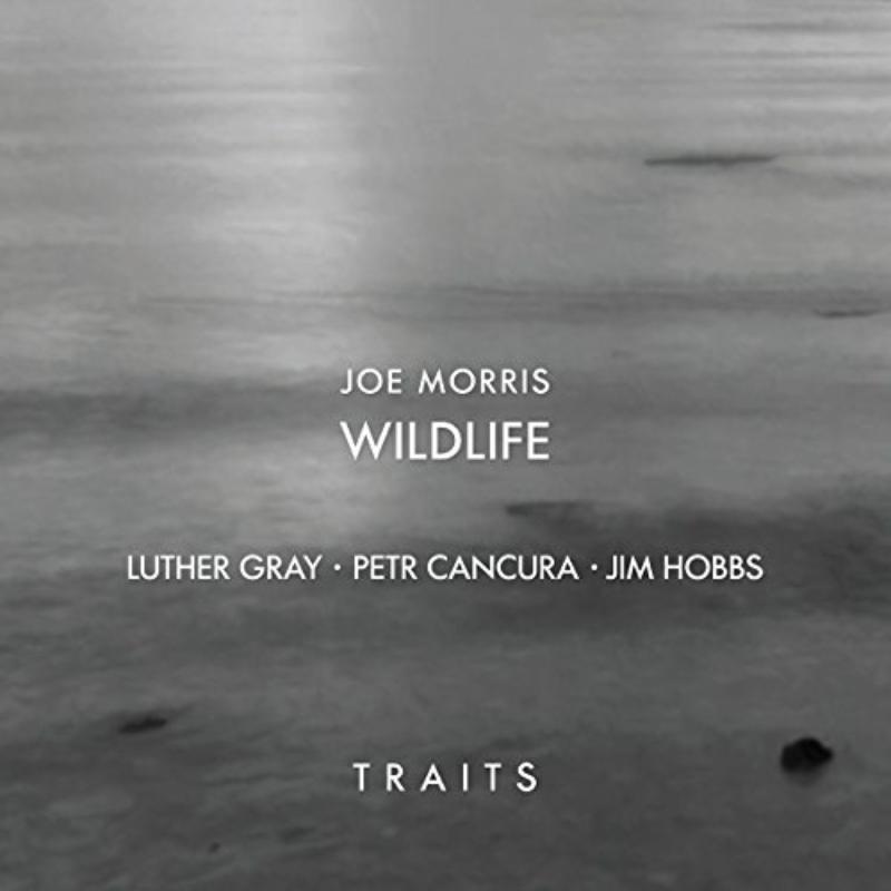 Picture of Joe Morris, Petr Cancura, Jim Hobbs & Luther Gray - Traits