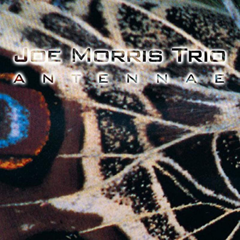 Picture of Joe Morris Trio - Antennae