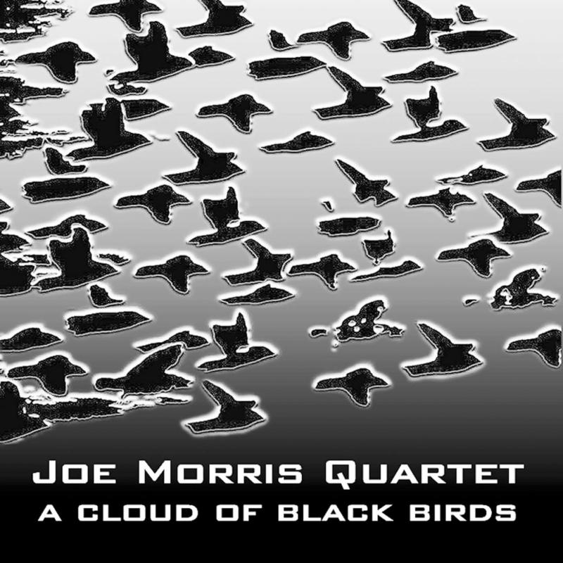 Picture of Joe Morris Quartet - A Cloud Of Black Birds