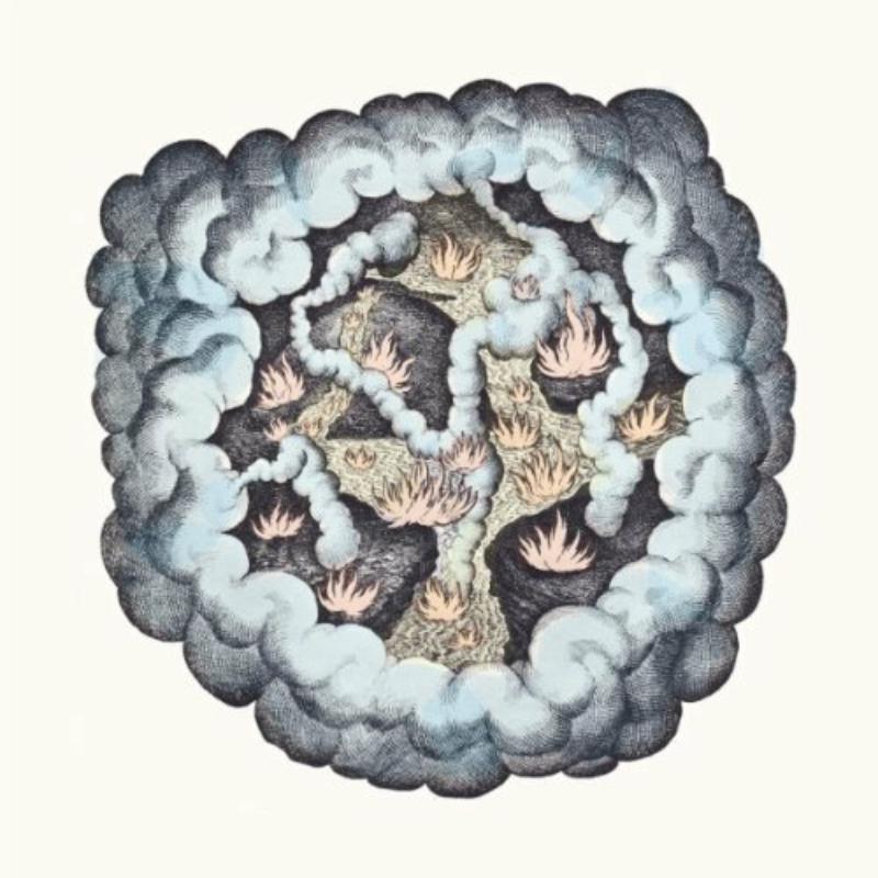 Picture of Tw Walsh - Songs Of Pain And Leisure