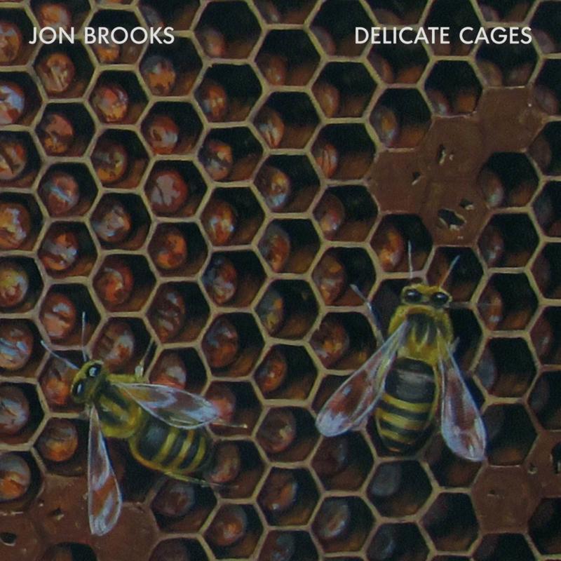 Picture of Jon Brooks - Delicate Cages