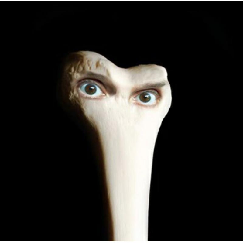 Picture of Juana Molina - Halo