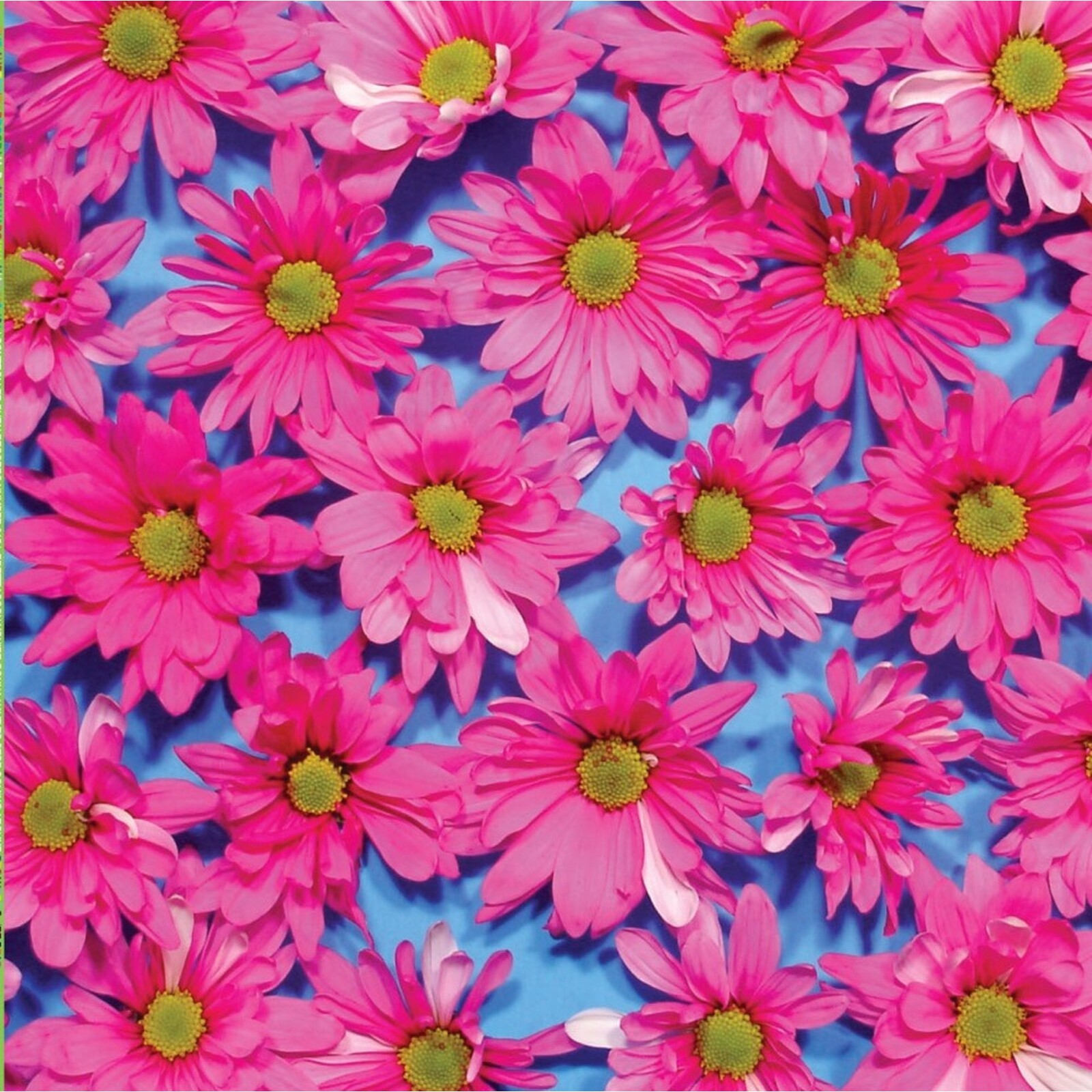 Picture of The Austerity Program - Black Madonna