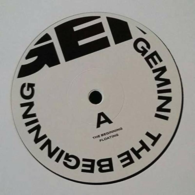 Picture of Gemini - The Beginning