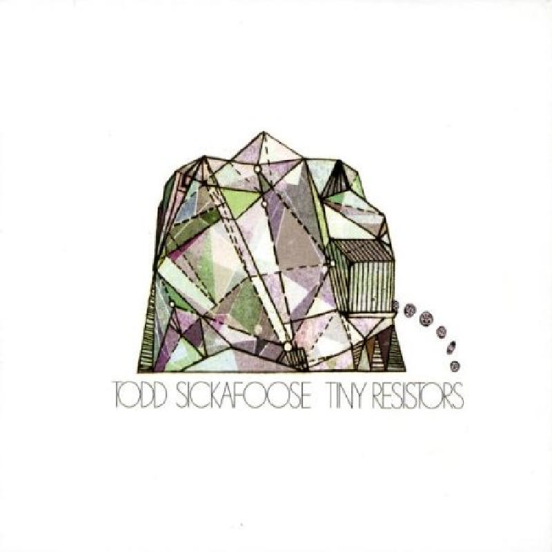 Picture of Todd Sickafoose - Tiny Resistors