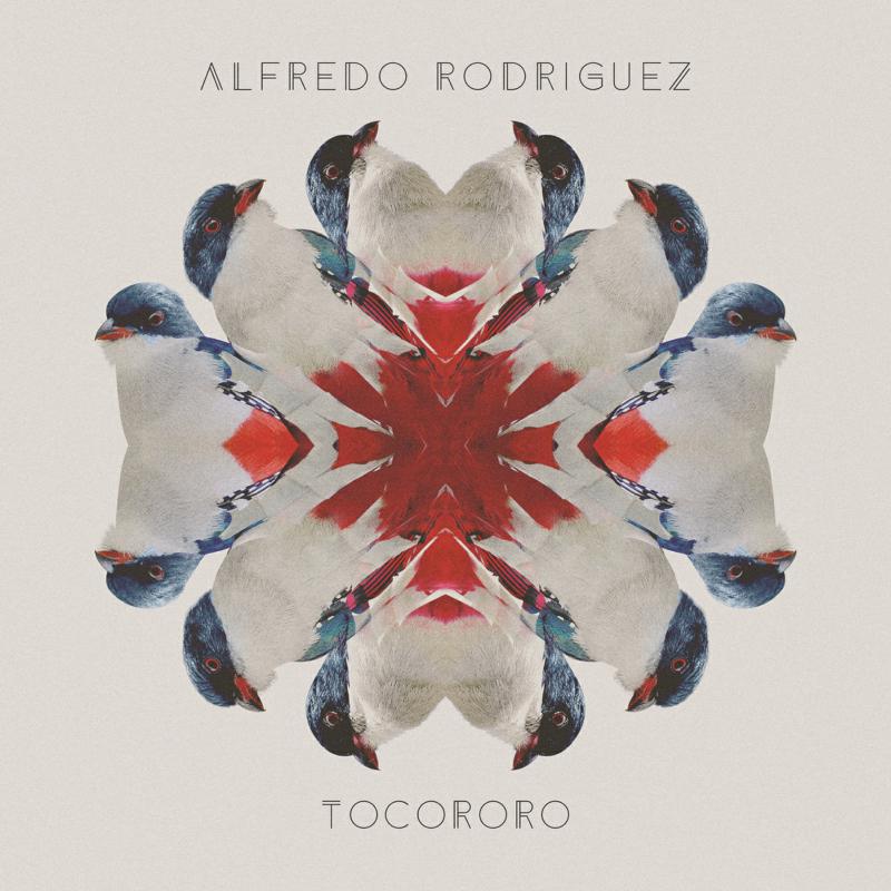 Picture of Alfredo Rodriguez - Tocororo