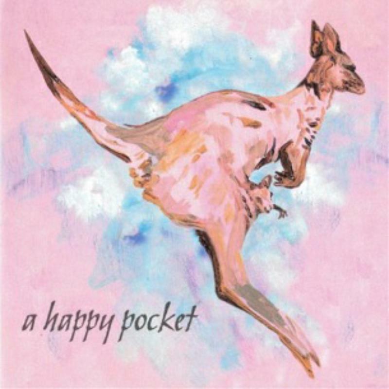 Picture of Trashcan Sinatras - A Happy Pocket