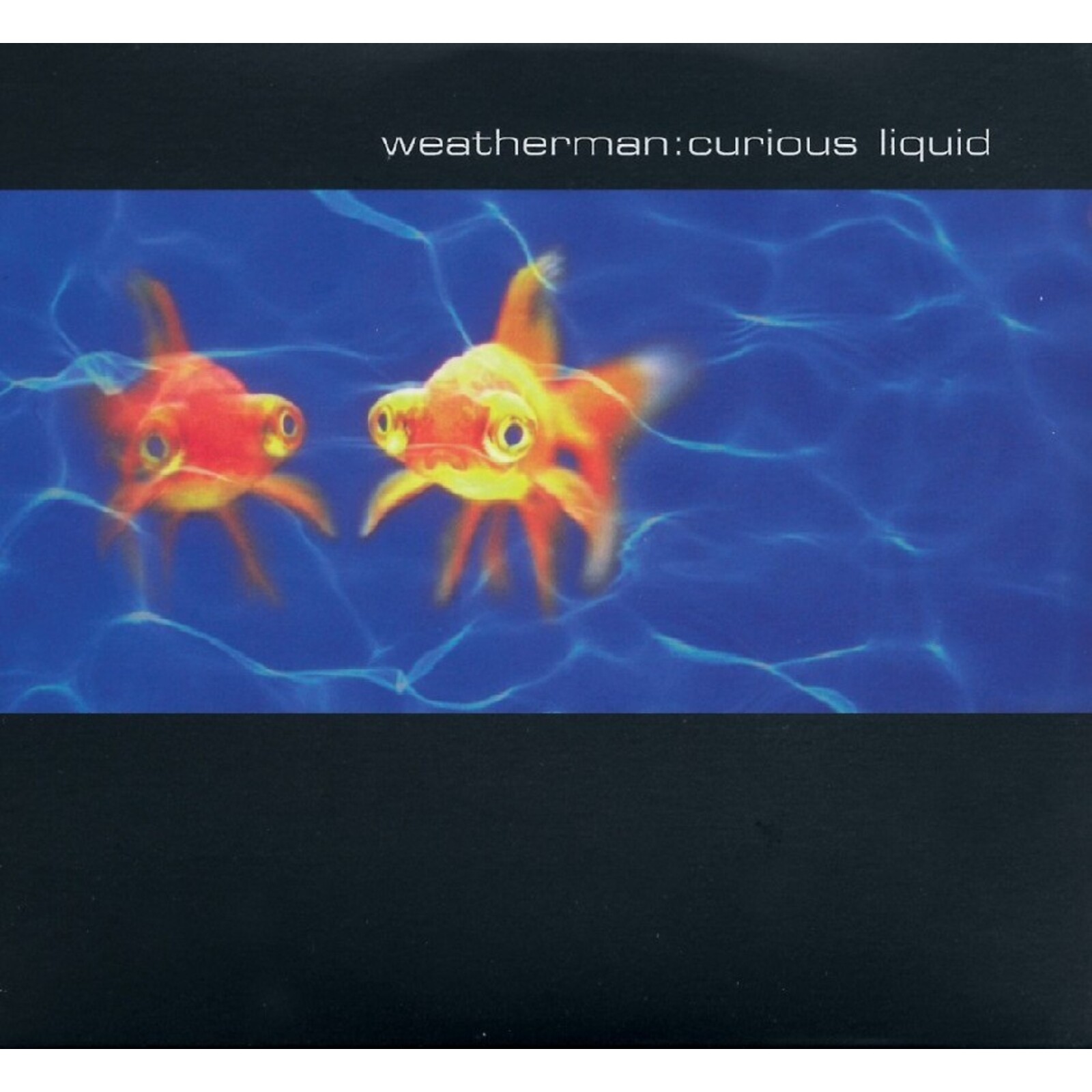 Picture of Weatherman - Curious Liquid