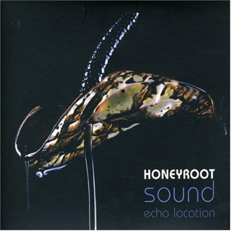 Picture of Honeyroot - Sound Echo Location
