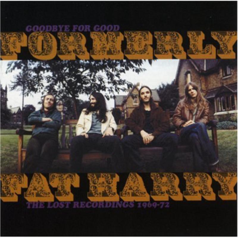 Picture of Formerly Fat Harry - Goodbye For Good