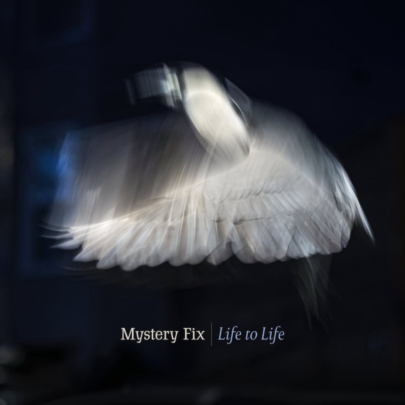 Picture of Mystery Fix - Life To Life